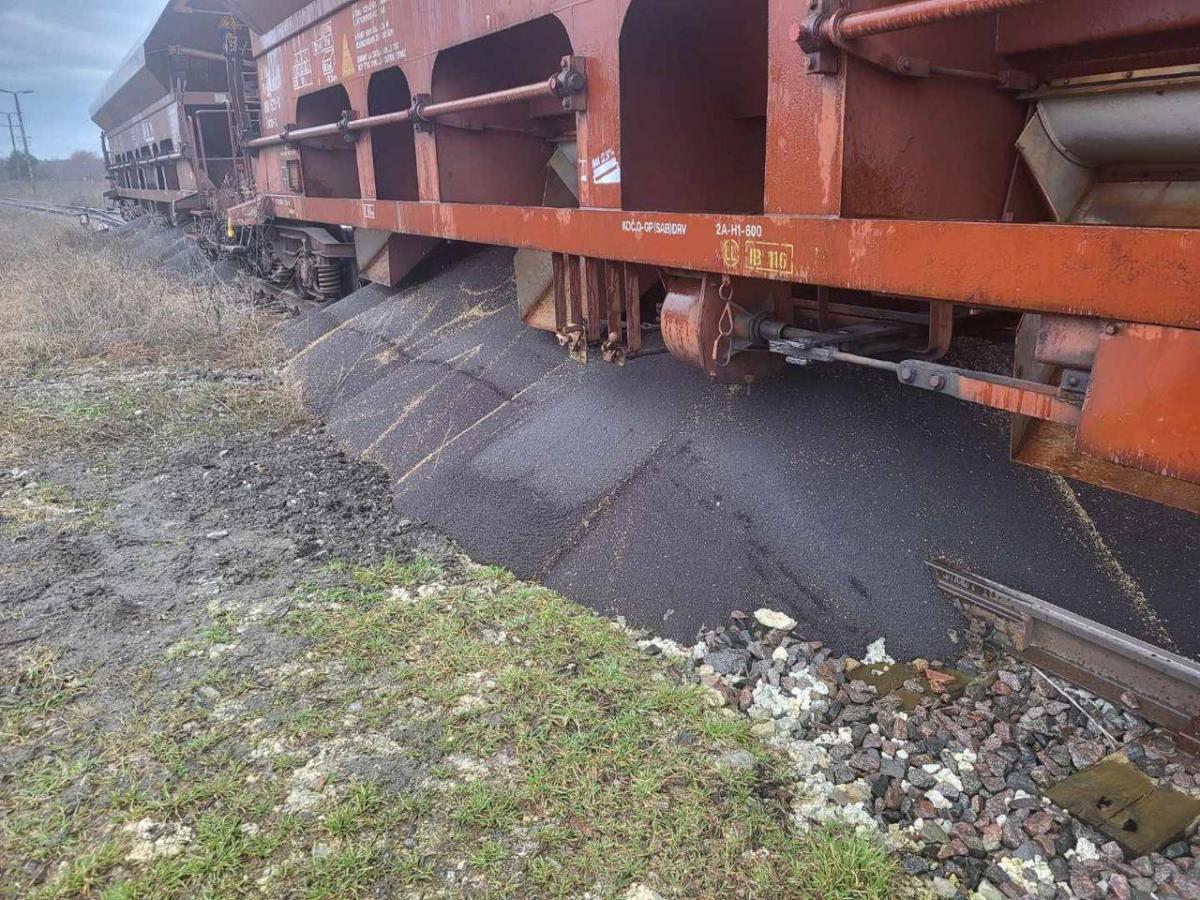 В Польше высыпали рапс из вагонов “Укрзализныци” (фото)