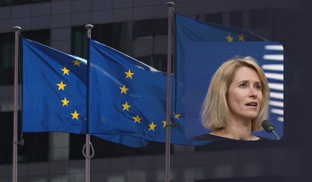 Каллас рассказала, как поддержит Украину, когда займет должность Борреля