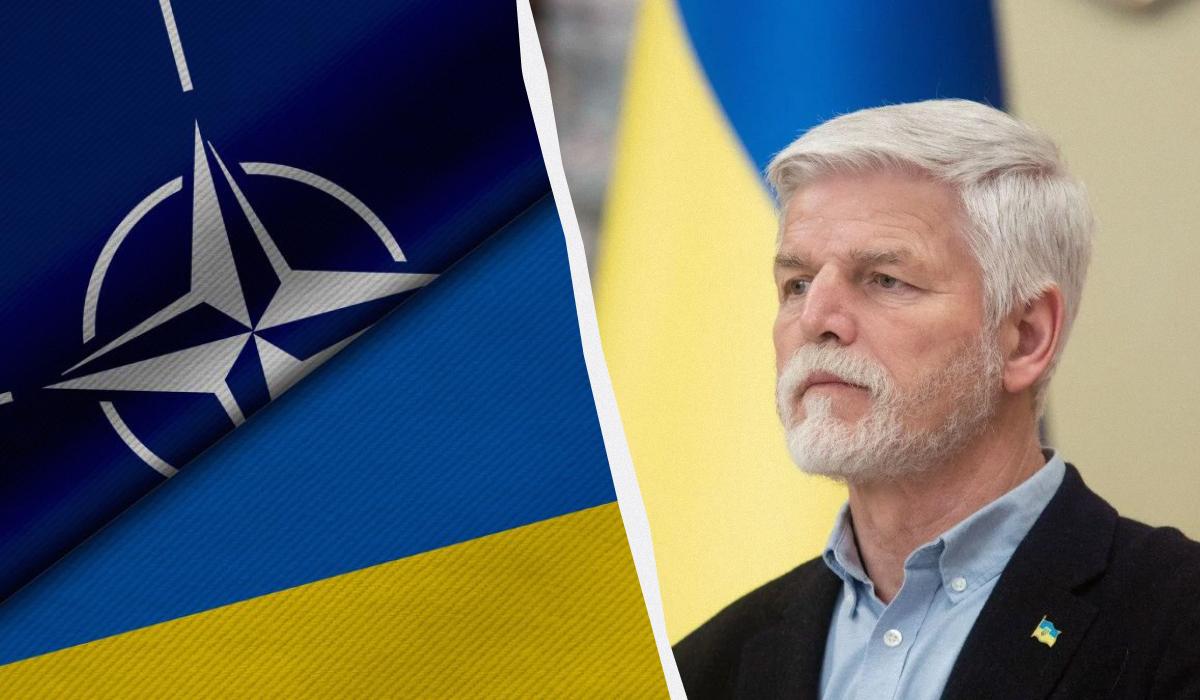 Президент Чехии оценил шансы Украины на скорое вступление в НАТО