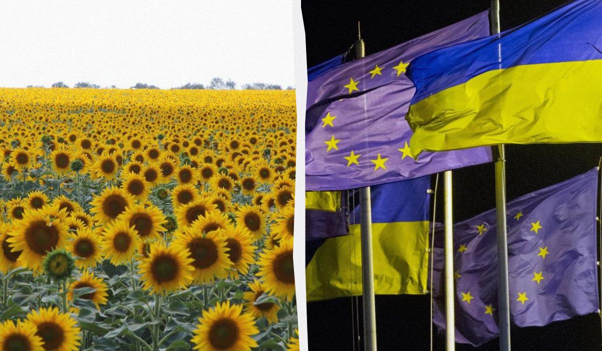 Евросоюз отменил ограничения на импорт важных сельхозтоваров из Украины