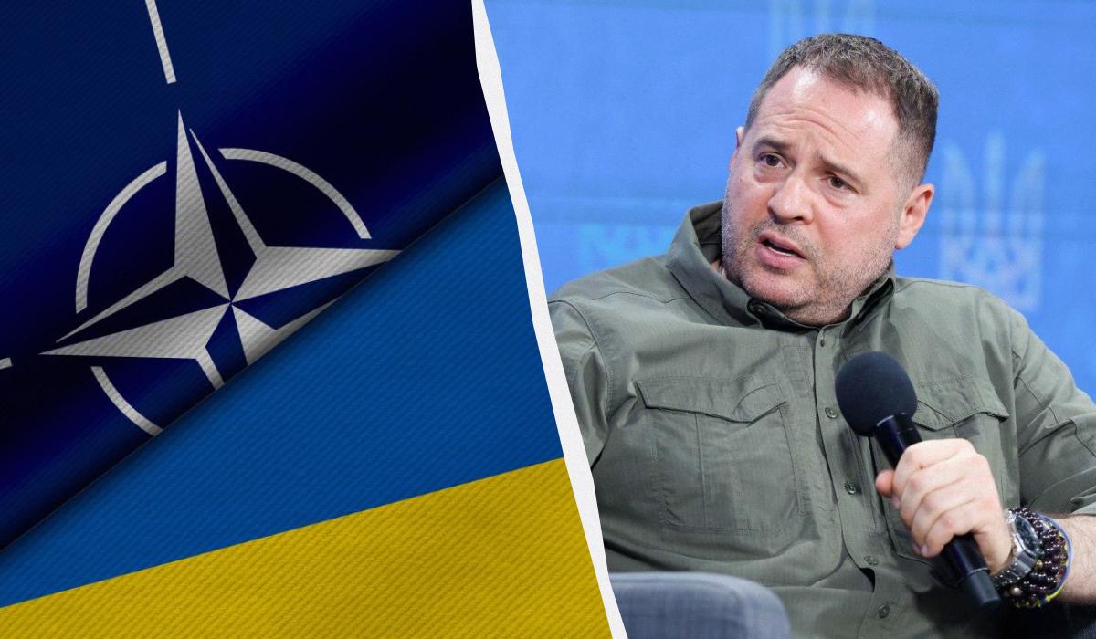 У Зеленского ответили,чего Украина ожидает от саммита НАТО