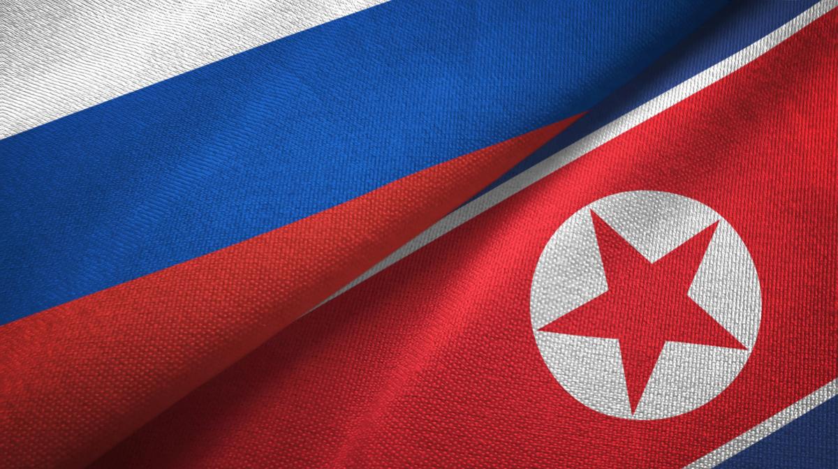 КНДР может направить в Россию 25 тысяч работников на заводы по производству дронов, – СМИ