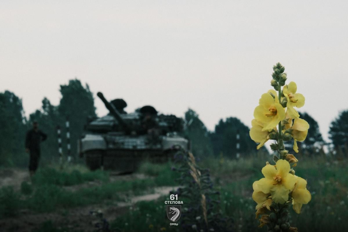 Нарисовывается интересная история: эксперт об успехах Украины в Донецкой области