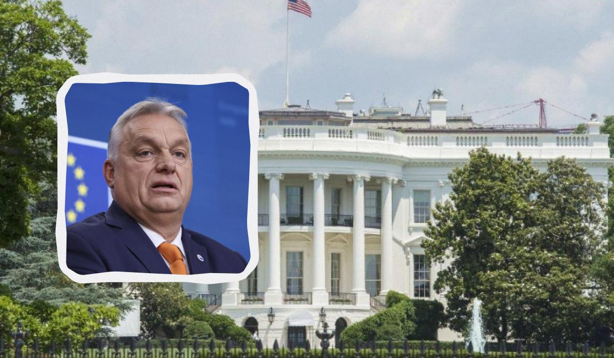 У Трампа потребовали от Венгрии и Словакии отказаться от российского газа