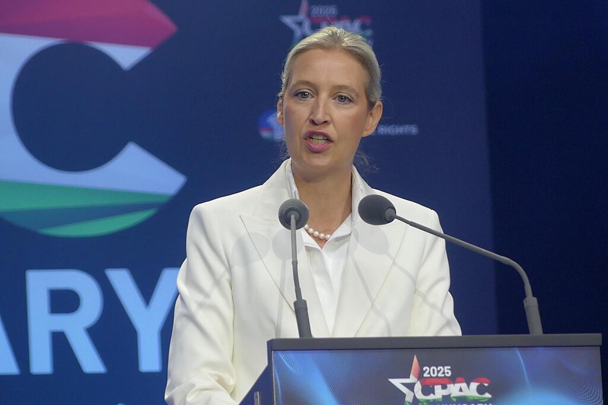 Пророссийская АдГ стала самой популярной партией Германии, – Bild