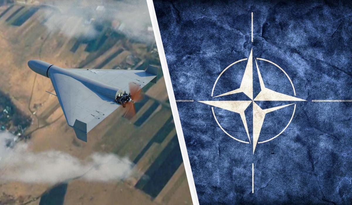 НАТО создает “Walmart” для дешевых уничтожителей дронов, – адмирал Вандье