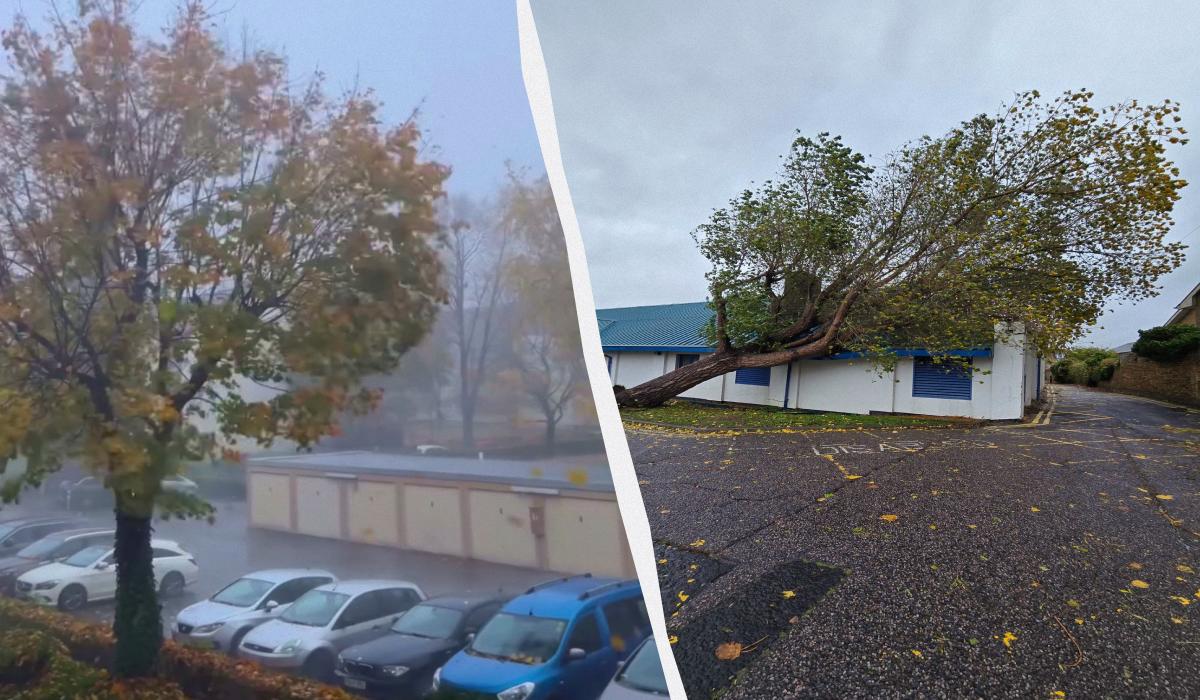 В Германии бушует исключительный шторм “Йошуа”, деревья вырывает с корнем (фото, видео)