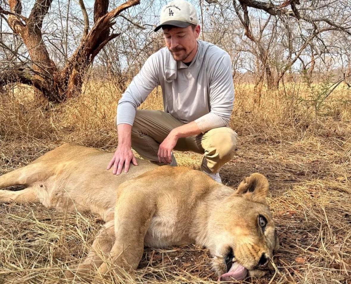 MrBeast попал в громкий скандал из-за видео о войне и львах из Украины: детали