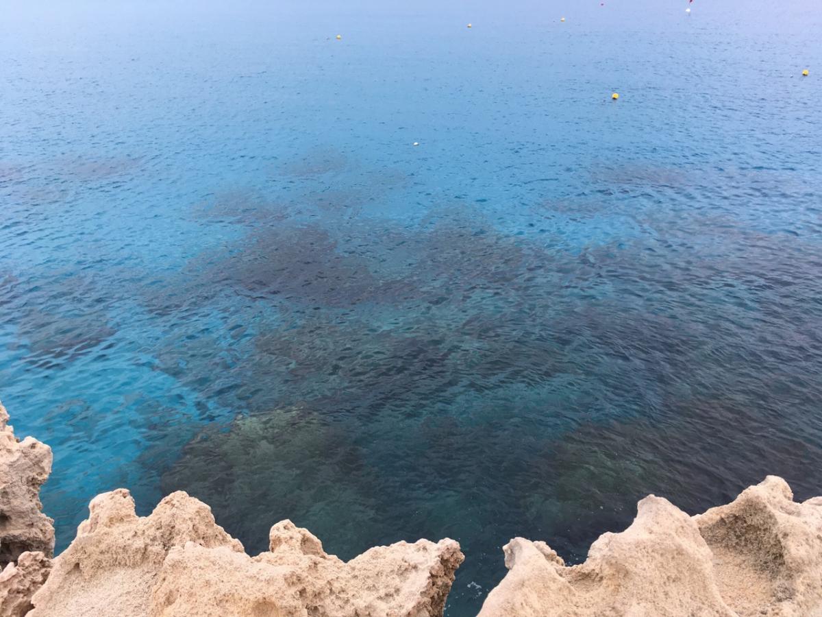 Евросоюз поддержал намерения США по добыче газа в Средиземном море