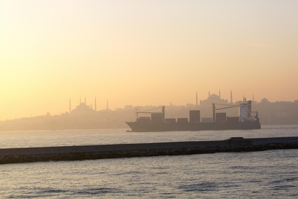 Из-за атак Украины в Черном море резко выросли цены на страхование морских судов, – FT