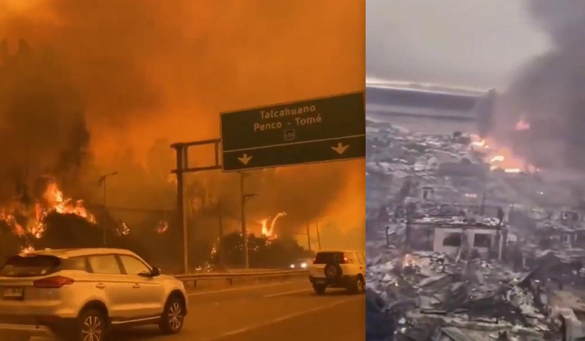 В Чили не могут потушить десятки масштабных лесных пожаров: что мешает пожарным