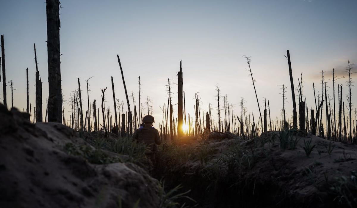Война уничтожила уникальный лес на Донбассе, и возродить его уже нельзя, – ученый