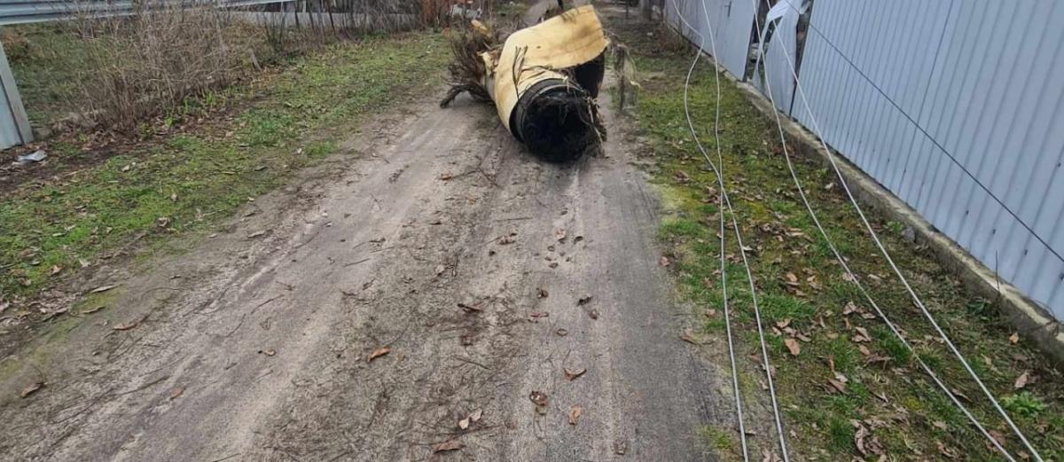 “Циркон”, “Искандеры” и не только: в Воздушных силах рассказали, чем россияне били по Украине ночью