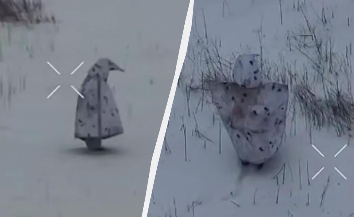 Как оккупант притворился пингвином: “Флеш” предупредил о новом способе маскировки россиян