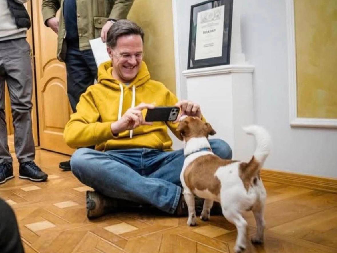 “Мы никогда не сдадимся”: Рютте трогательно рассказал о встрече с собакой Патроном