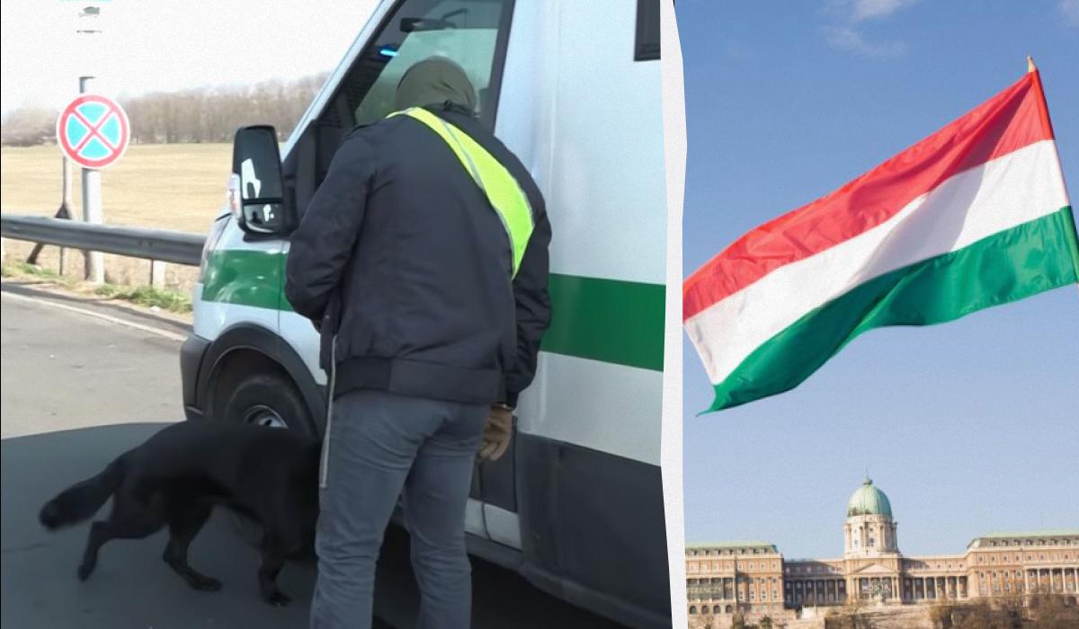 28 часов в наручниках: МИД раскрыло, как венгры обращались с украинскими инкассаторами