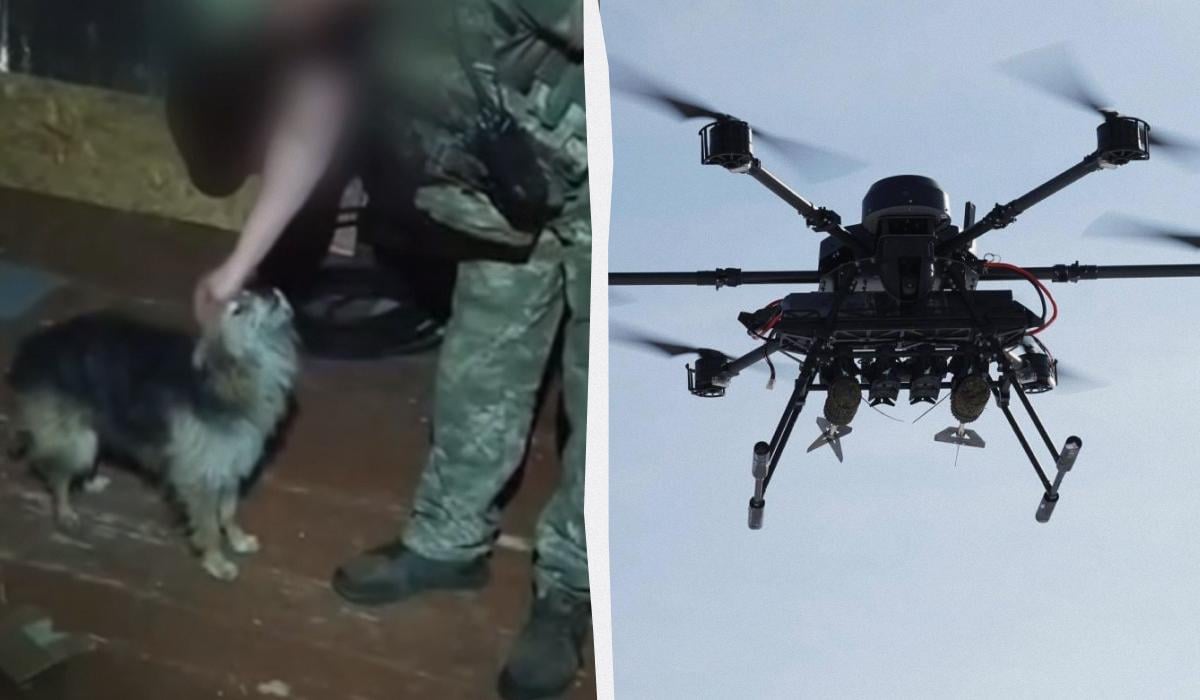 Успешно пролетели 12 км: воины ВСУ дроном эвакуировали с позиции кота и собаку (видео)