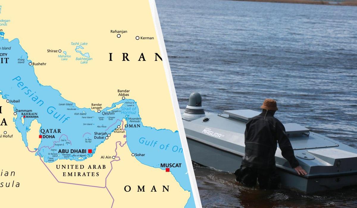 У Киева есть план: как Украина может разблокировать Ормузский пролив, – Euronews