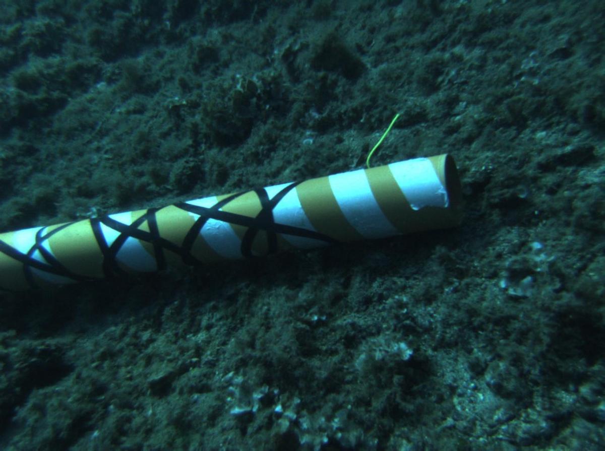 Китай создал устройство, способное перерезать кабели на глубине 3,5 км: чем это грозит