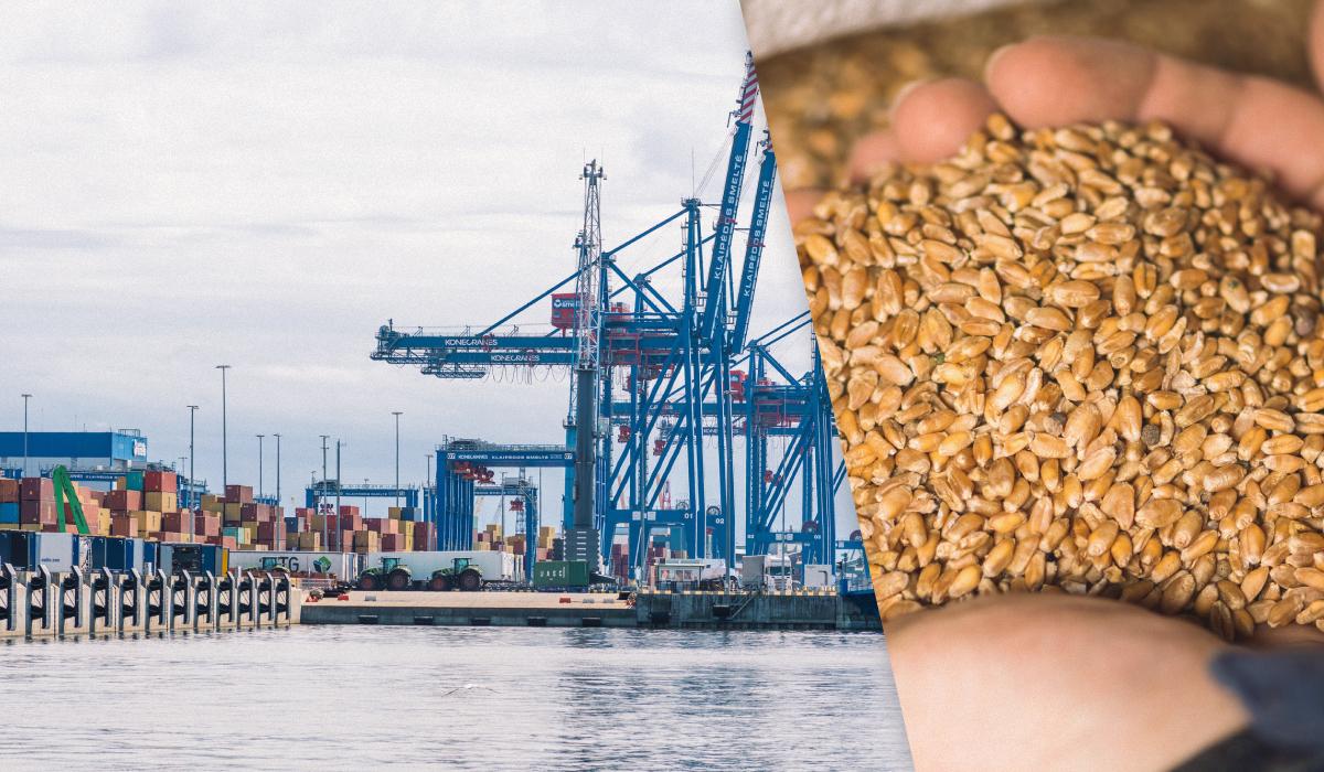 В Украине заговорили о последствиях для Израиля из-за украденного зерна, – журналист Axios