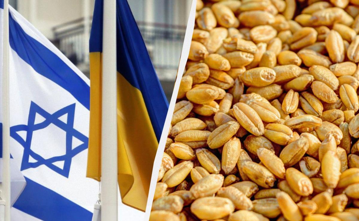 Украина вручила ноту протеста послу Израиля в связи с похищенным Россией зерном