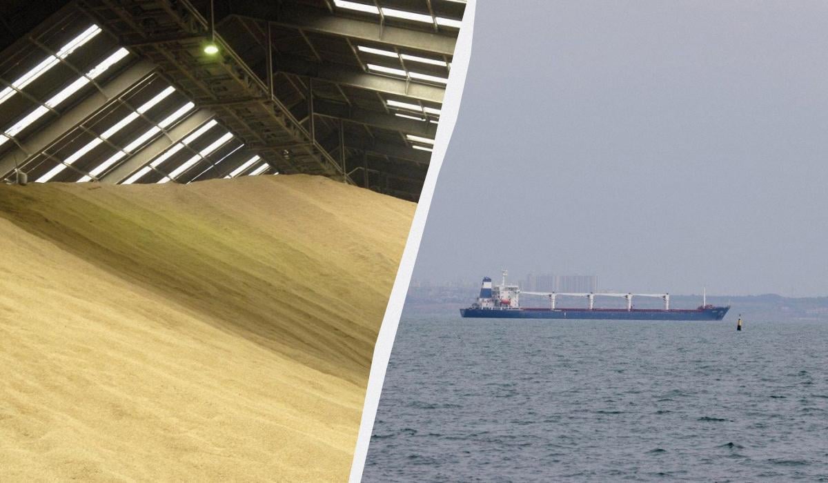 Израильский импортер отказался от судна с похищенным украинским зерном, – СМИ