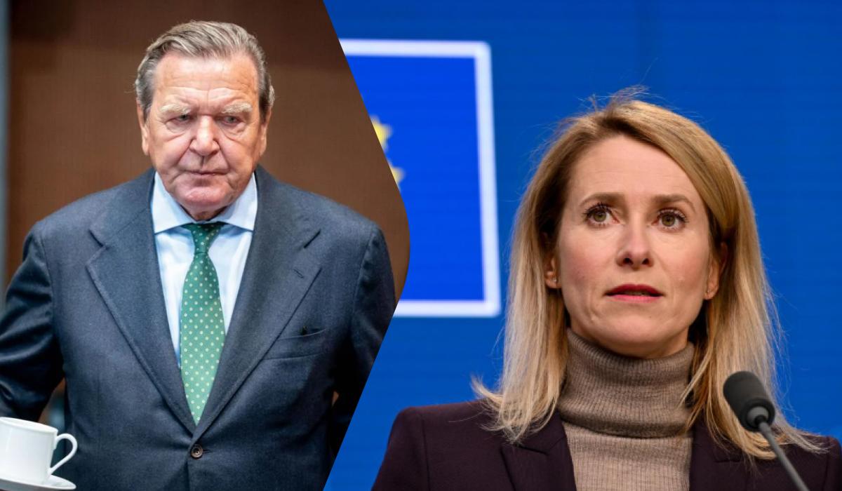 Украина и Евросоюз ответили, сможет ли Шредер стать переговорщиком