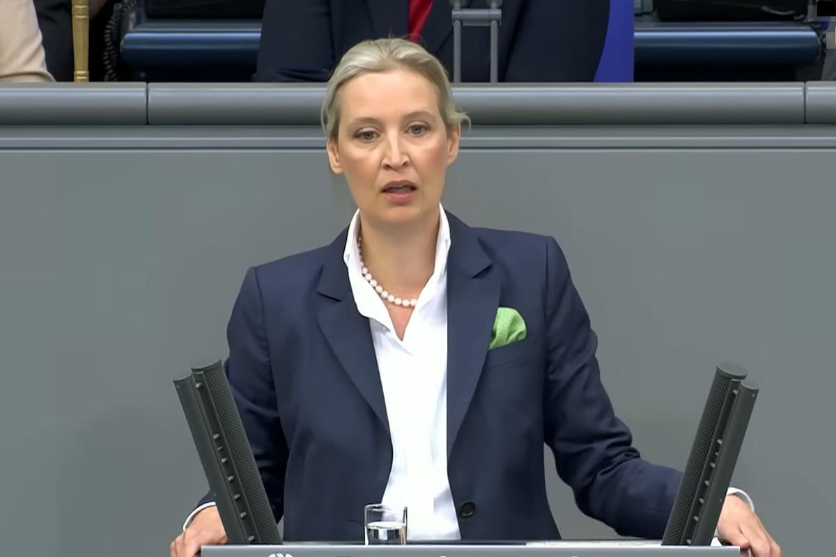 В Германии раскритиковали Украину за сопротивление агрессии РФ