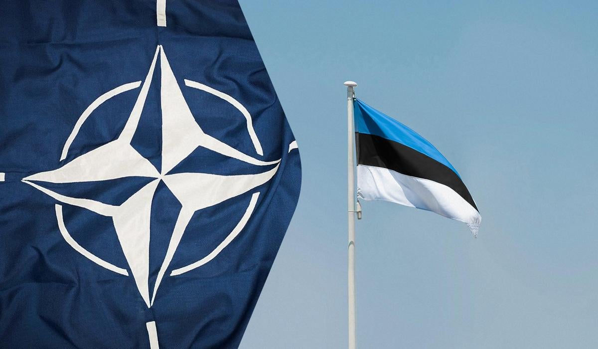 В Эстонии заявили, что РФ «направляет» дроны в воздушное пространство НАТО: о чем идет речь