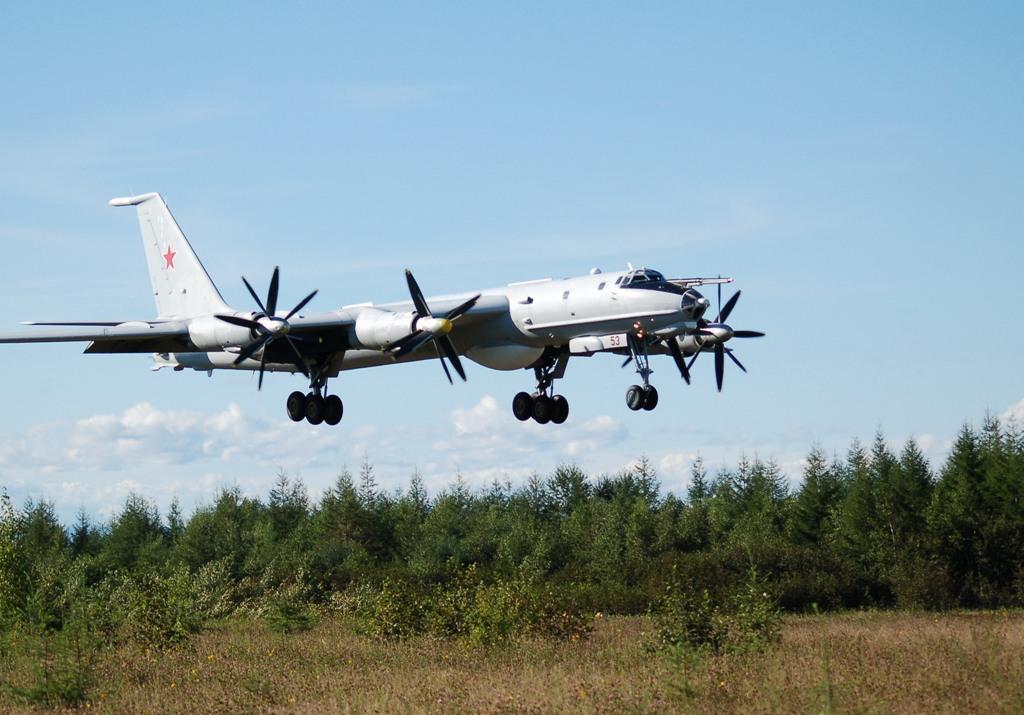 Уничтожение Ту-142: эксперт объяснил, почему это ощутимая потеря для оккупантов