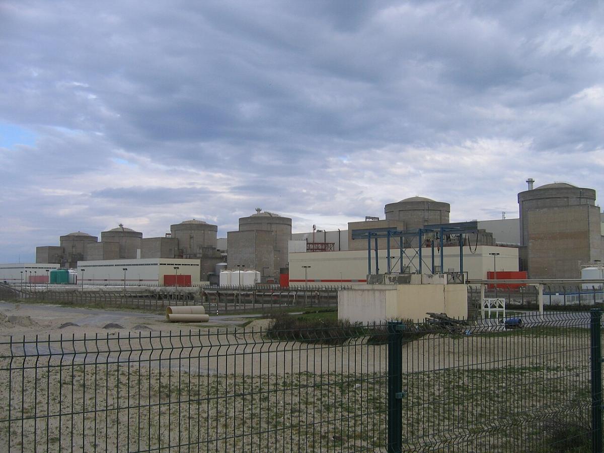 Нашествие медуз привело к остановке одной из крупнейших АЭС Франции